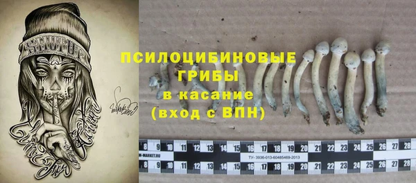 прущая мука Белокуриха